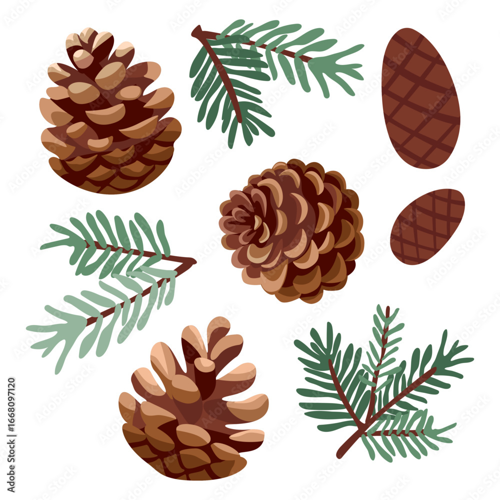 Christmas design with pine cones and branches. Vector illustration on ...