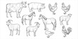 © rayhan039 - Black and white line art illustrations of farm animals including cows, pigs, horses, and fowl livestock