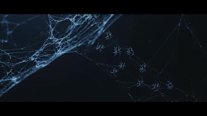 Close-up of a spider web with multiple spiders against a dark background.