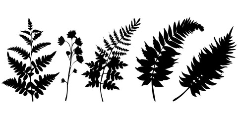 Ferns Tree Best icons