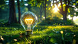 © Mike Stock - Green energy lightbulb on grass in nature with sunlight symbolizing clean sustainable future concept