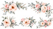 © FAYSAL - Watercolor floral arrangements with pink and cream roses, and gray-green leaves. Isolated on transparent background.