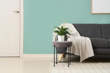 Poster - interior of stylish living room with black sofa and table
