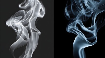Wall Mural - abstract smoke patterns in black and white with elegant flowing curves and soft transparency