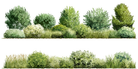 Collection of Beautiful Trees set – Isolated Cottonwood and Plane Trees, Transparent Background for Architectural and Garden Design