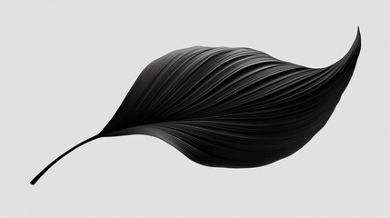 Wall Mural - Black abstract leaf floating on white background