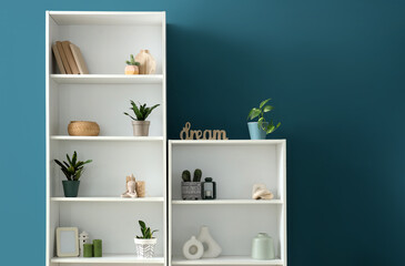 Poster - bookshelves with plants near blue wall