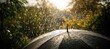 © SKIMP Art - a rainy day with an umbrella in the foreground, raindrops falling on it, blurred background of greenery and sky, sunlight shining through water droplets Generative AI