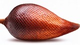 salak fruit with detailed rough skin on a transparent background