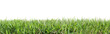 © Chayanee - Green grass isolated on transparent background 3d rendering png