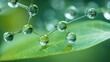 © Nayyab - Close-up of molecular structure on dew-covered leaf in nature, scientific botany research concept with green background and blurred natural surroundings