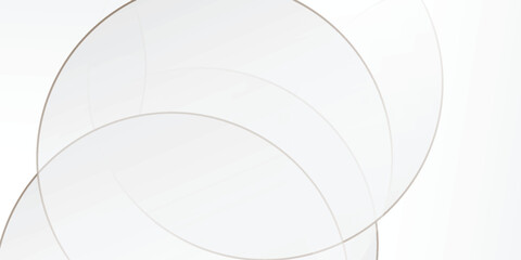 Wall Mural - modern abstract white circle background with gold circle line. luxury and elegant overlap geometric 