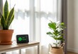 © VisioSynth - Smart Home Environment: Good Air Quality and Indoor Plants