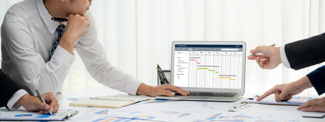 Wall Mural - project planning software for brisk business project management on the computer screen showing timel