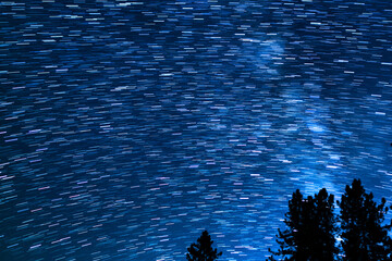 Wall Mural - Star Trails of Milky July in South Sky Over Trees Palomar Mountain San Diego Astrophotography in California USA
