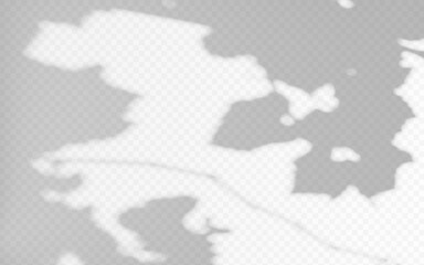 Wall Mural - shadow overlay from grape branch on a transparent background.