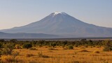 a clear and centered image of the majestic mount kilimanjaro against the backdrop of an african savannah, with a focus on nature and the outdoors