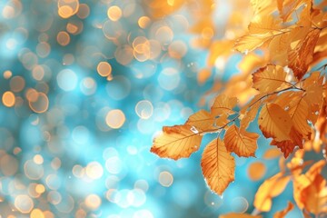 Wall Mural - autumn leaves pattern bokeh effect background backgrounds sunlight outdoors.