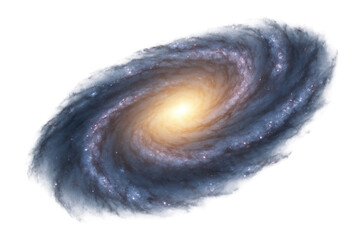 Wall Mural - ngc 1300 with a barred spiral galaxy with a bright core