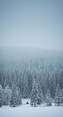 Naklejka na meble Snowy forest landscape, muted colors.  A tranquil winter scene, with a thick layer of snow blanketing a dense forest.  Soft light and hazy atmosphere