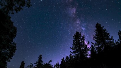 Wall Mural - Milky Way Galaxy Stargazing Southeast Above Forest Palomar Mountain San Diego California Time Lapse Astrophotography