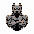 © StockOtaku - Muscular pitbull dog mascot with crossed arms