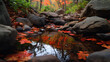 © buraratn - Serene stream flows through rocky landscape, surrounded by vibrant autumn foliage. water reflects colorful leaves, creating picturesque scene of nature beauty