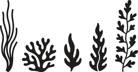 Seaweed silhouette vector, marine plants illustration, underwater coral design, ocean nature clipart, aquatic flora graphic, botanical seaweed art, black silhouette