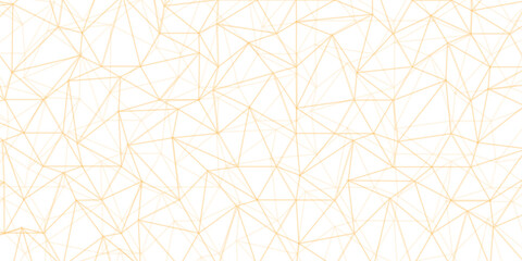 Wall Mural - Abstract of simple gray line triangle pattern geometric background .white background creative and geometric shape with white luxury pattern .Gray and white geometric background with low poly triangle
