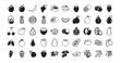 © Smithstar - Fruits line art icon bundle illustration
