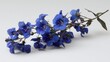 © yasiryasir - Vivid blue wildflower blooms on a twig against stark white background