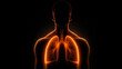 © Art of Ngu - Glowing 3D medical illustration of human lungs and respiratory system in a dark background
