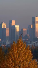 Wall Mural - warm golden sunset light illuminating urban skyscrapers with vibrant autumn foliage reflecting archi