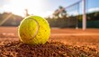 © Lani - Golden hour sunlight illuminates a tennis ball on a clay court, with the net blurred in the background, ready for a match
