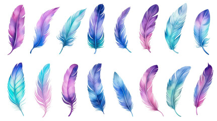 Wall Mural - Beautiful watercolor feathers in a range of colors on a black backdrop, perfect for design projects.