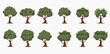 © ArtLuna Studio - Collection of twelve cartoon olive trees, some laden with olives, illustrating variations in shape and fruit.