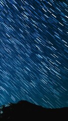 Wall Mural - Vertical Shot Star Trails of Milky Way Galaxy in Southwest Sky in Los Padres Forest Astrophotography Time Lapse in California USA