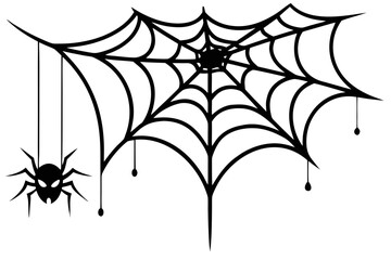 Spider and web illustration on black background