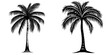 © aiVECTOR - A simple yet striking silhouette of a palm tree, the Palm Tree Silhouette Icon embodies the spirit of tropical landscapes, summer vacations, and relaxation, making it an excellent choice for