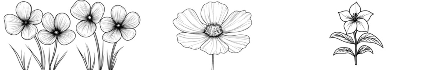 Elegant black and white flower line art designs are showcased in Floral Duo