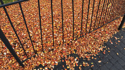 Wall Mural - Bright Orange Autumn Leaves Scattered Near Black Metal Fence