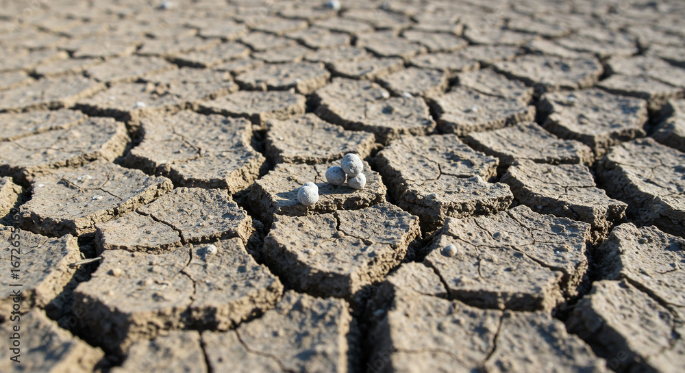 Visual Reference: Fertilizer Damaged Soil Cracks Stock Photo