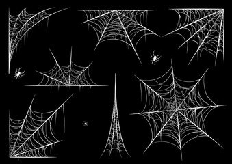 vector illustration of a spider web