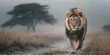 © Ingeborg - Majestic lion walks along misty path in the savanna at dawn capturing the essence of wildlife in its natural habitat