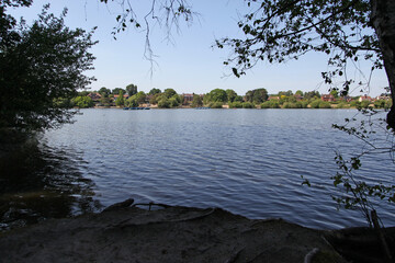 Wall Mural - Landscape view of a lake with trees and a blue sky.