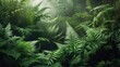 © Lasvu - Lush green ferns in a dense forest scene.