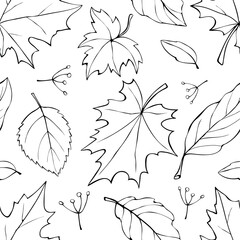 Wall Mural - Seamless pattern falling leaves. Vector autumn texture isolated on white, doodle style, outline. Concept of forest, leaf fall, nature, seasons