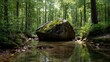 © Fahrun - Large rock in forest stream