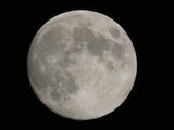 Pełnia Księżyca na nocnym niebie – szczegółowy widok
Full Moon in the Night Sky – Detailed View
Pełnia Księżyca na nocnym niebie, widoczna w dużym zbliżeniu z wyraźnymi kraterami i szczegółami powier