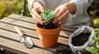 © Julia - Woman hands planting a succulent in a terracotta pot. Home gardening hobby, potting houseplant with soil on a wooden table.
